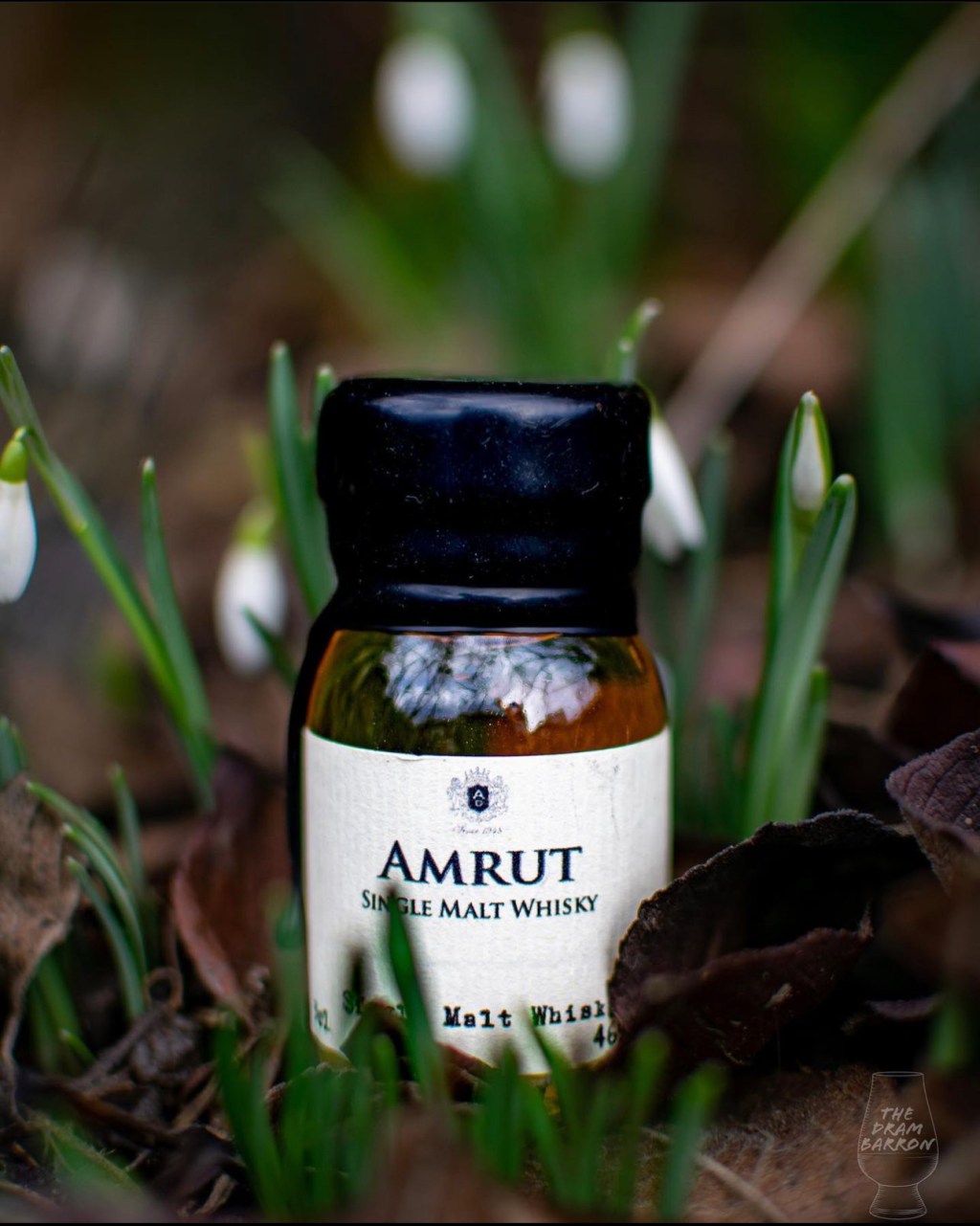 Picture of Amrut Single Malt Whisky