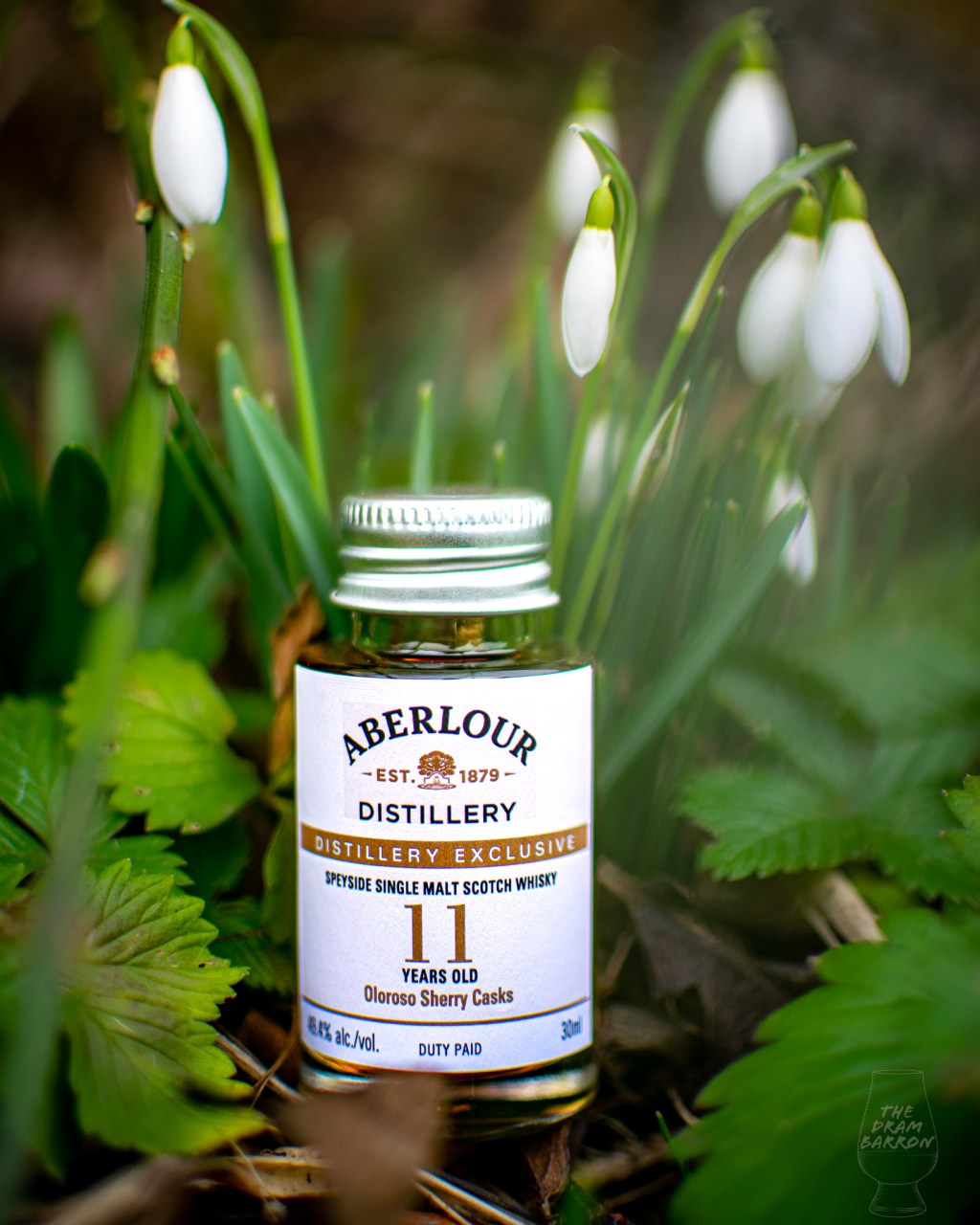Picture of Aberlour 11 Year Old Oloroso Sherry Casks Whisky