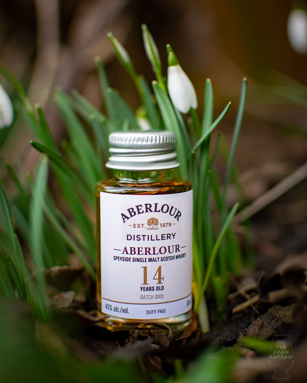 Picture of Aberlour 14 Year Old Whisky