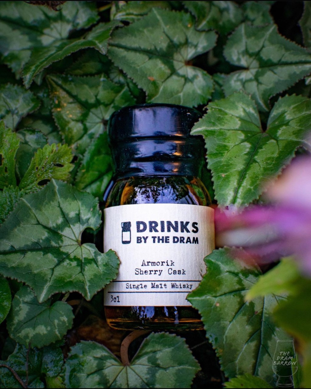 Armorik Sherry Cask Whisky