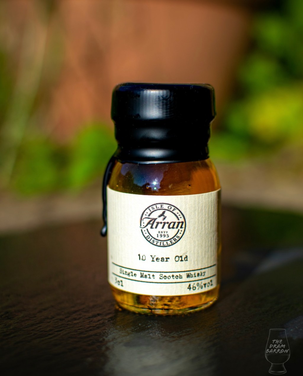 Picture of Arran 10 Year Old