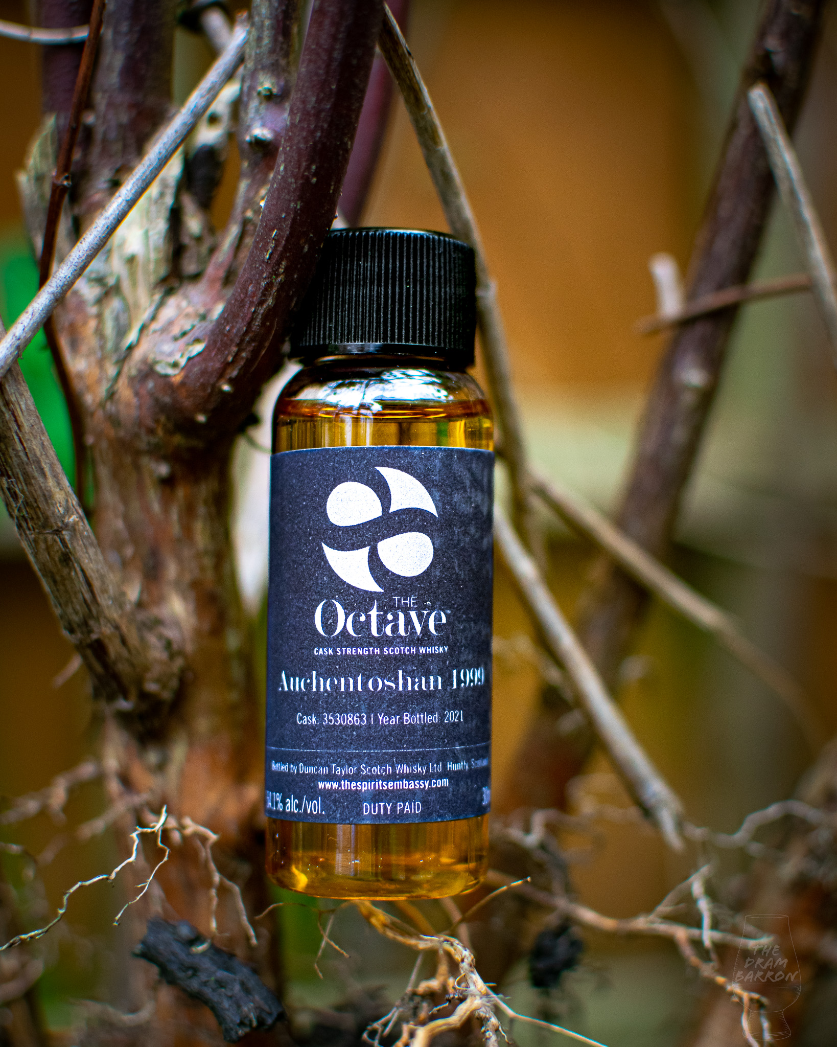 Auchentoshan 21 Year Old 1999 – Premium Octave Duncan Taylor Whisky 43%&nbsp;abv
