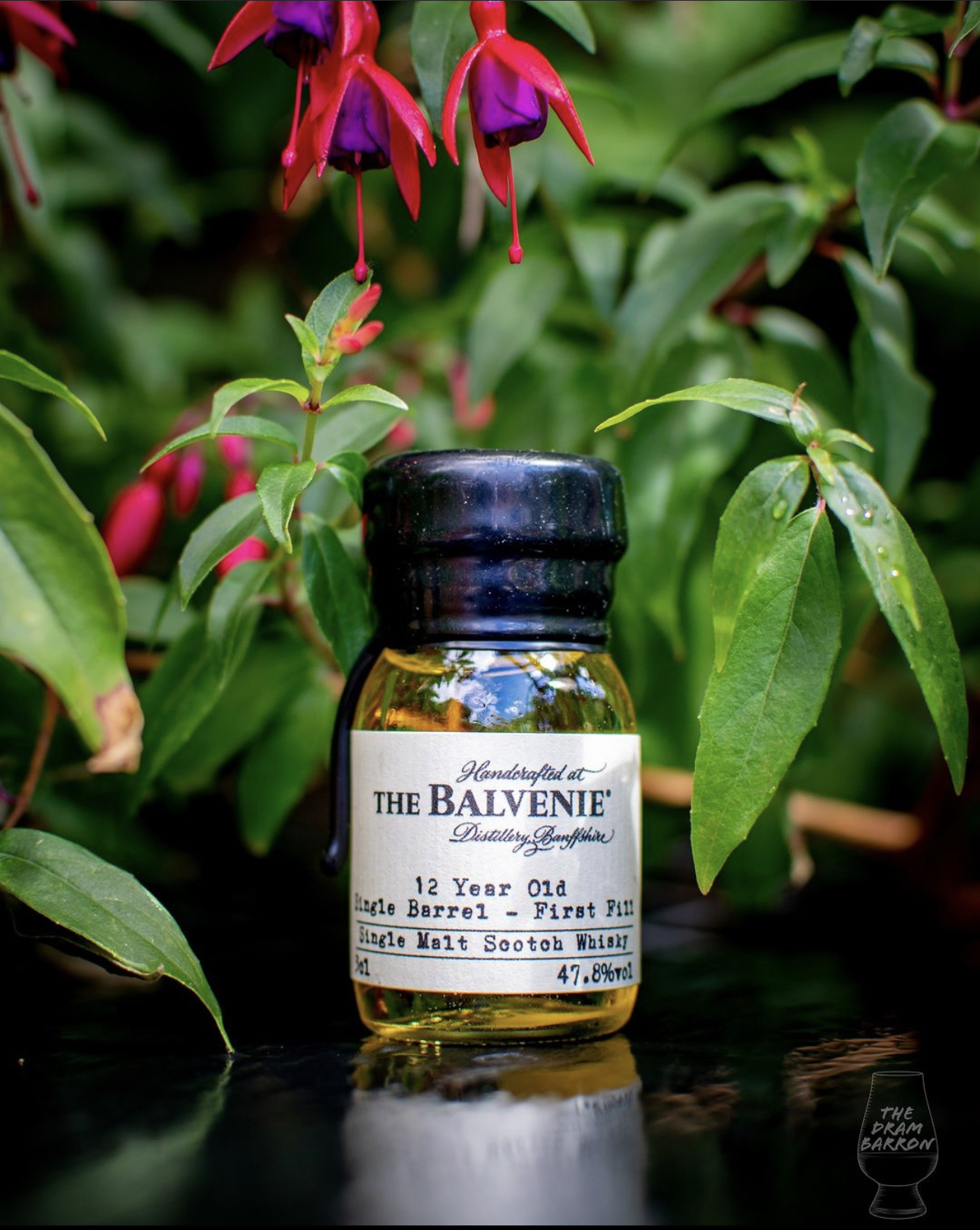 Balvenie 12 Year Old Single Barrel – First Fill Whisky 47.8%&nbsp;abv