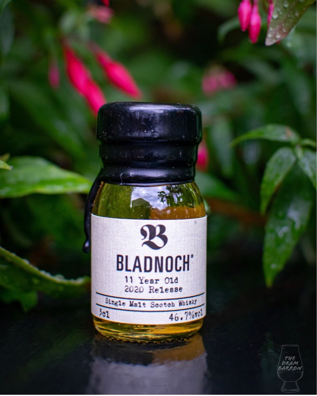 Picture of Bladnoch 11 Year Old 2020 Release Whisky