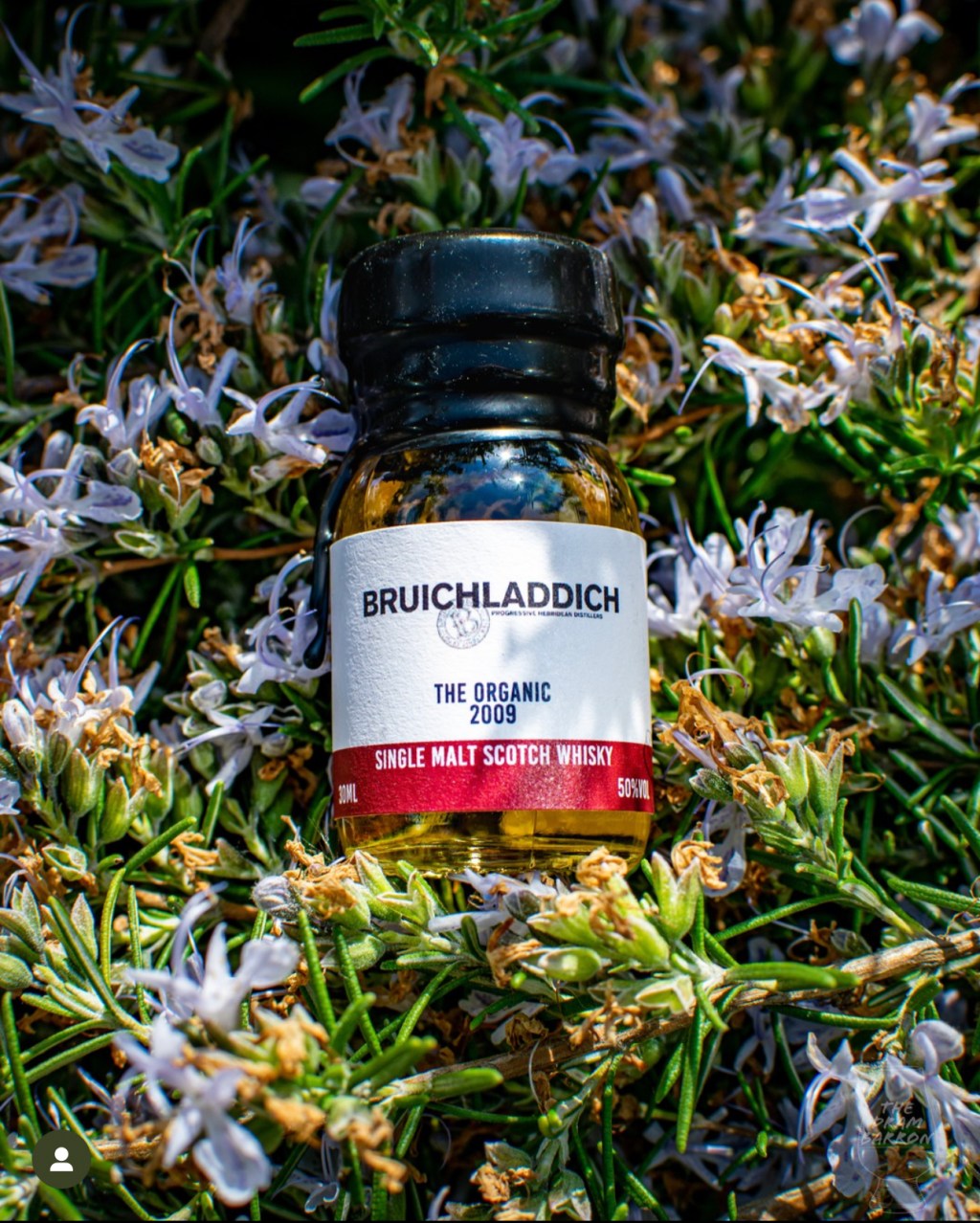 Bruichladdich The Organic 2009 Whisky