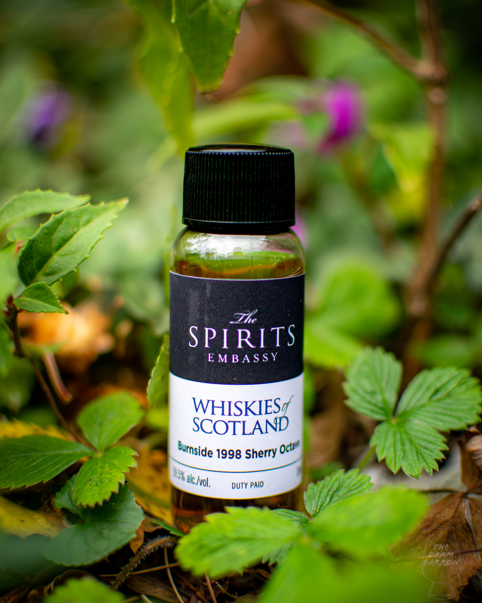 Burnside 1998 Sherry Octave Whisky 59.5%&nbsp;abv