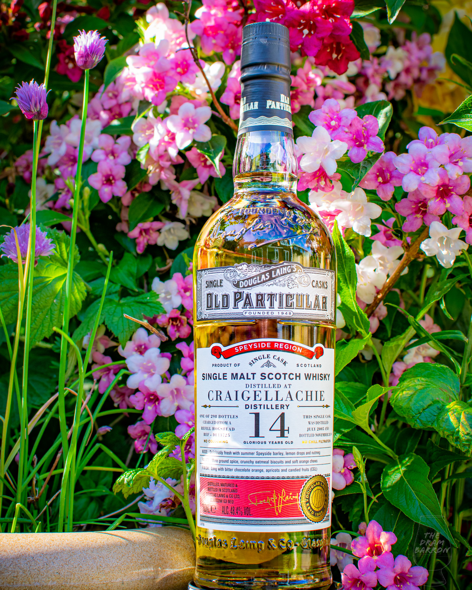Craigellachie 14 Year Old – Old Particular Douglas Laing Whisky 48.4%&nbsp;abv