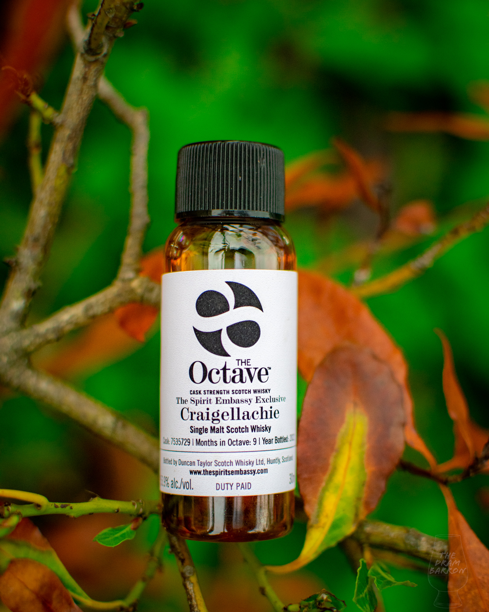 Craigellachie 10 Year Old 2011 – The Octave Duncan Taylor Whisky 53.9% abv