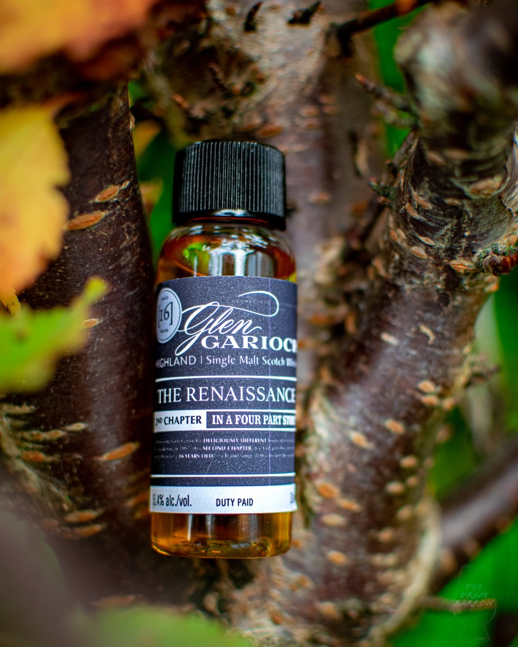 Picture of Glen Garioch 16 Year Old The Renaissance Chapter 2