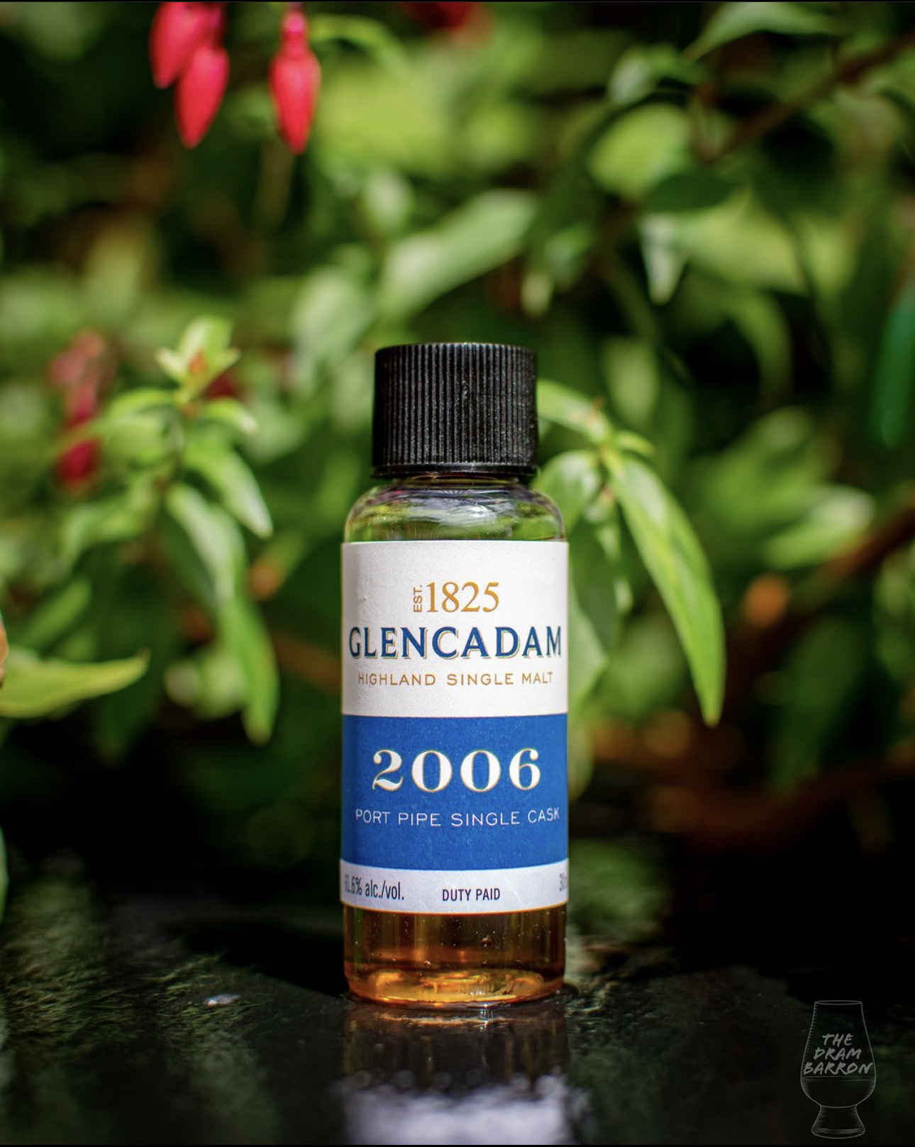 Glencadam 2006 Port Pipe Single Cask 61.6%&nbsp;abv