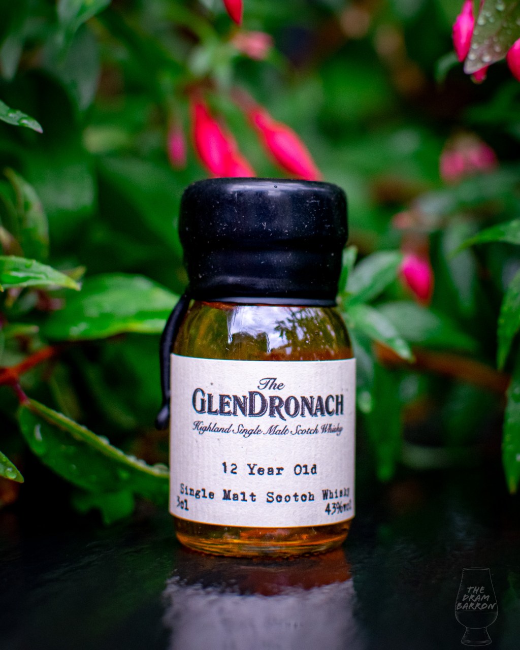 GlenDronach 12 Year Old 43%&nbsp;abv