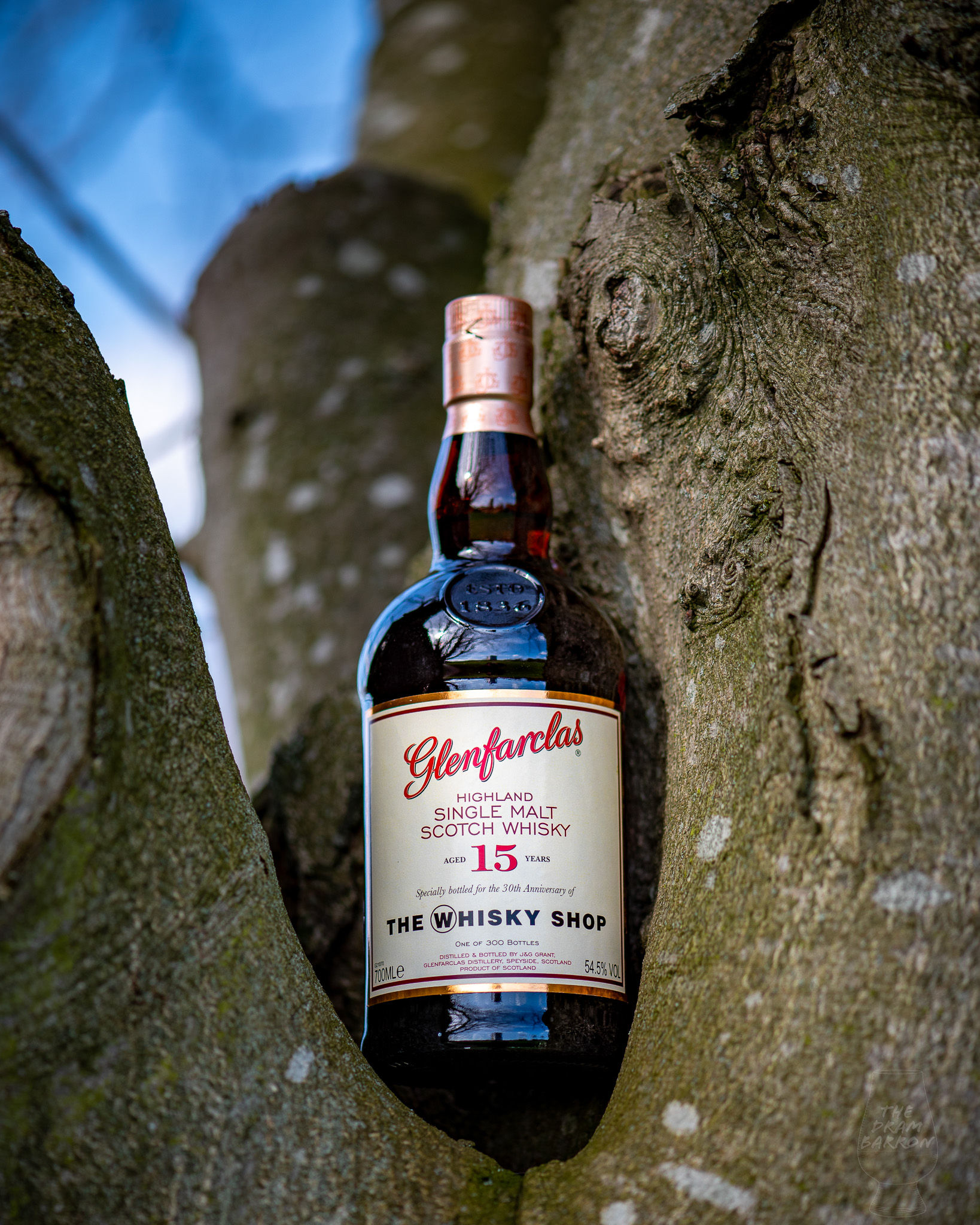 Glenfarclas 15 Year Old Single Cask – The Whisky Shop Exclusive Whisky 54.5%&nbsp;abv