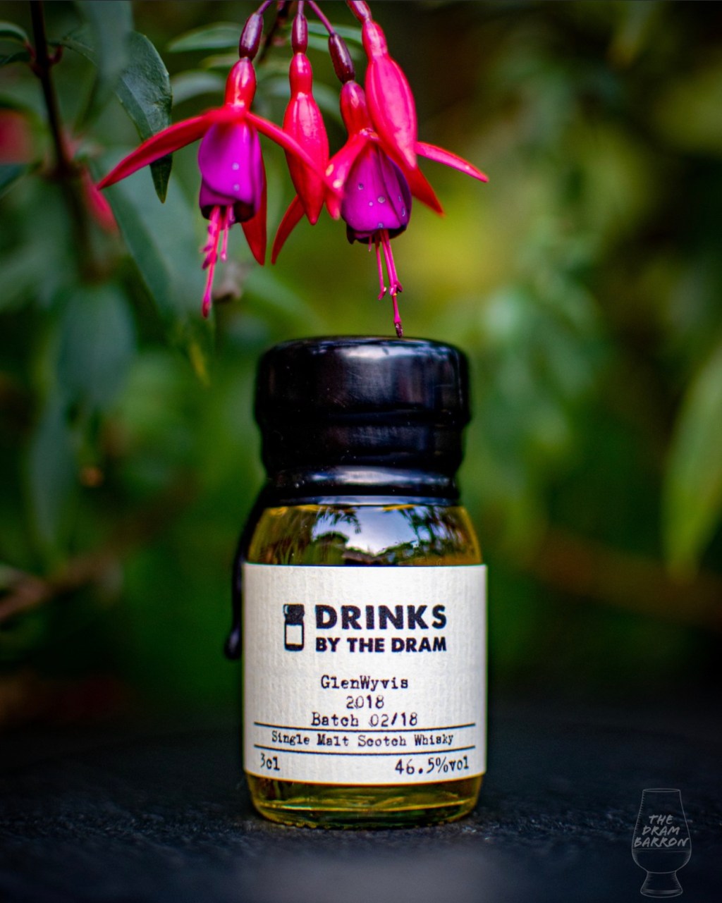 GlenWyvis 2018 Batch 02