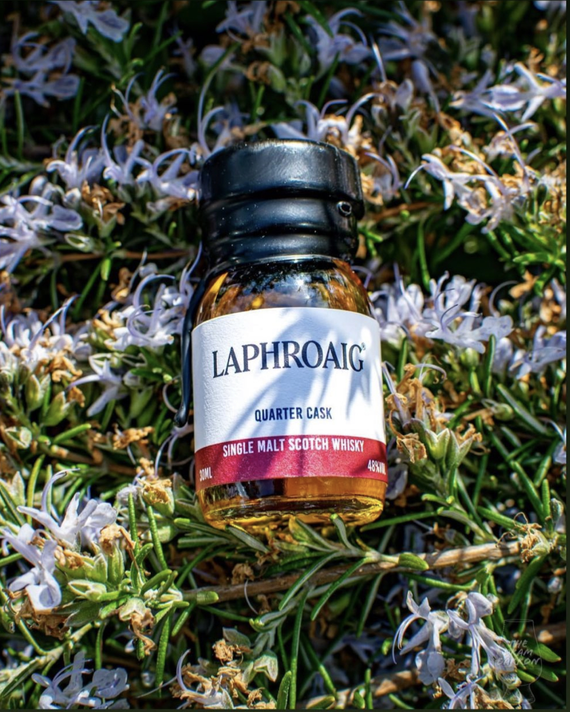 Laphroaig Quarter Cask 48%&nbsp;abv