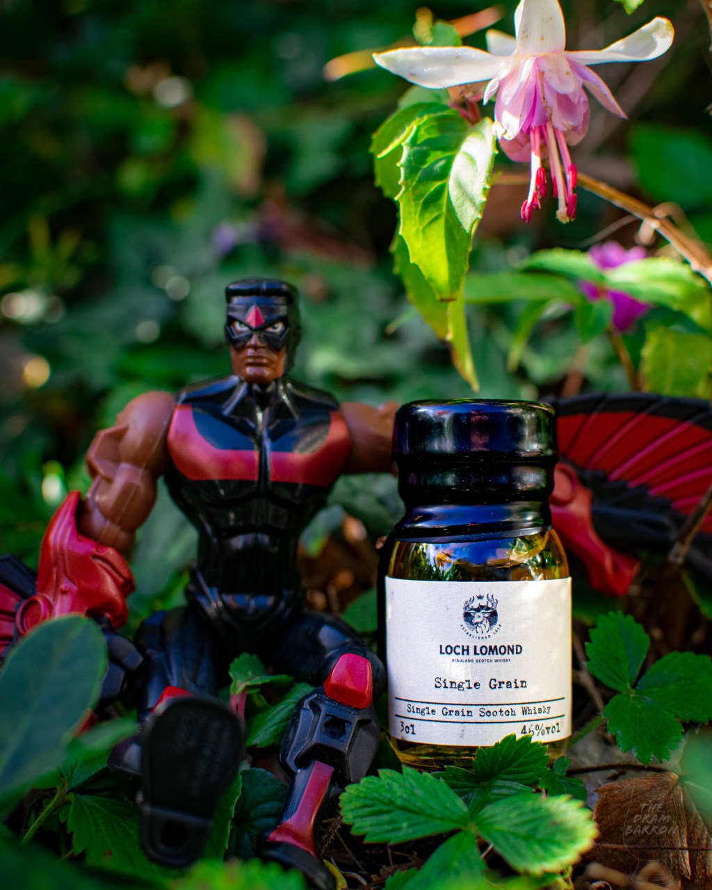 Loch Lomond Single Grain Whisky