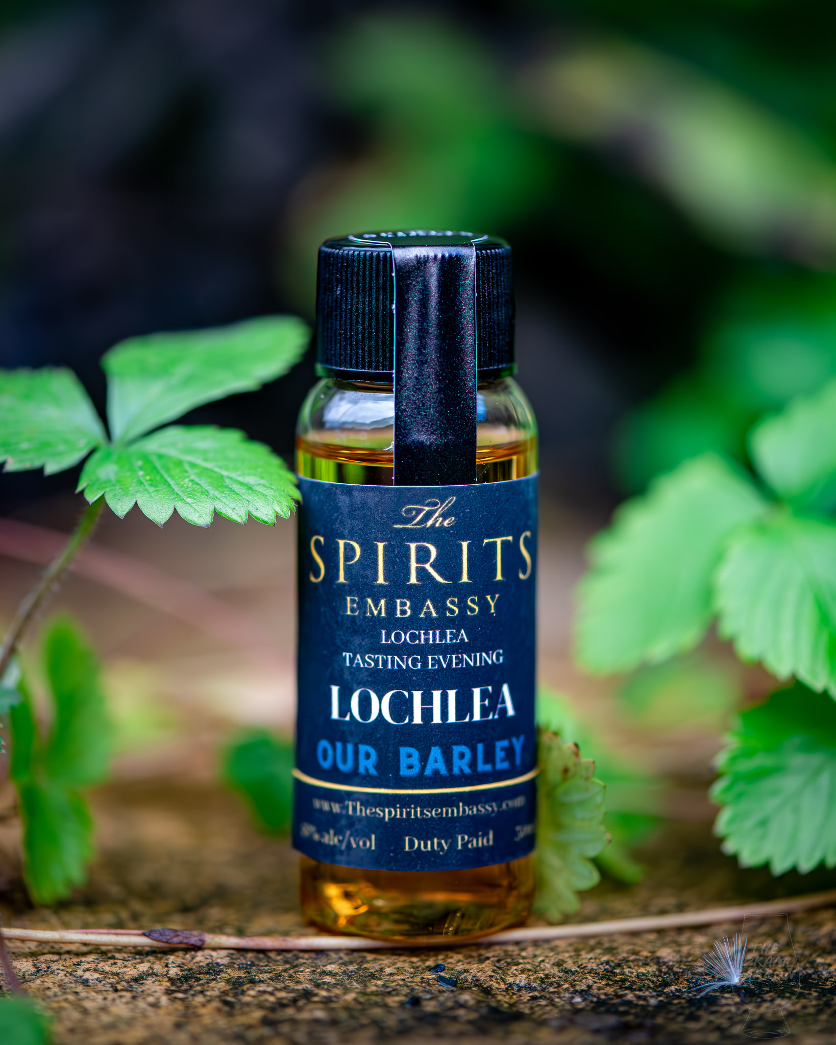 Lochlea Our Barley Whisky 46%&nbsp;abv