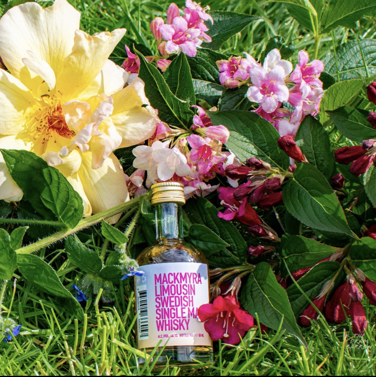 Mackmyra Limousin 46.1%&nbsp;abv