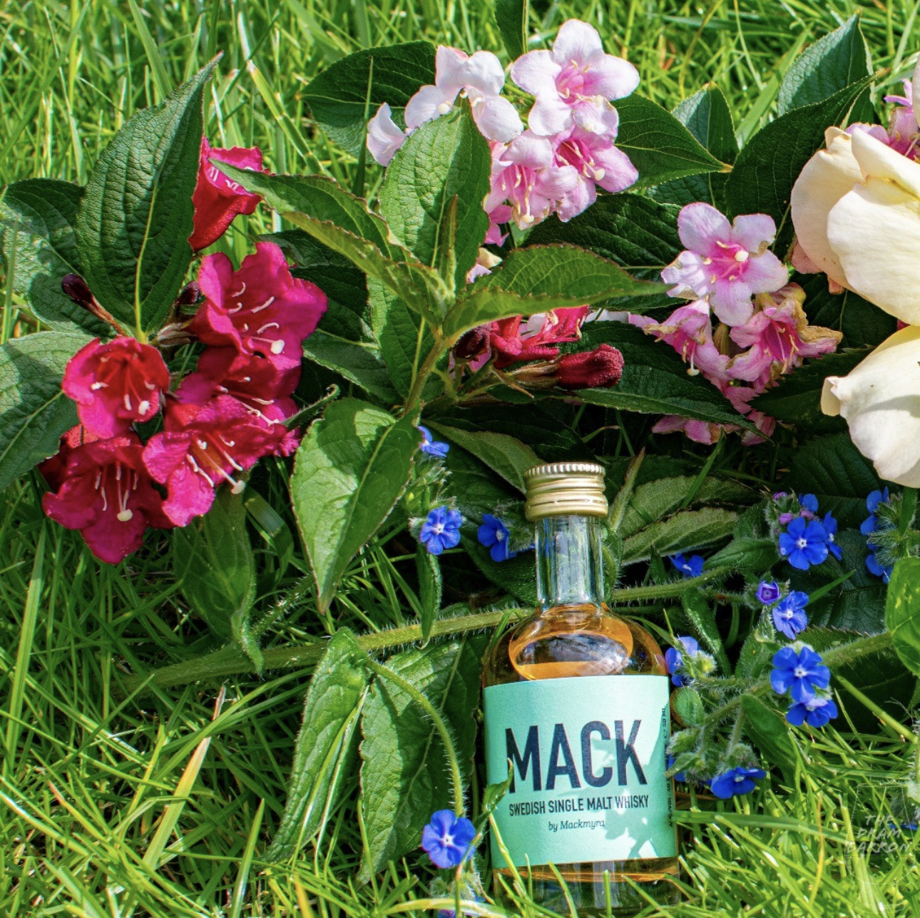 Mackmyra Mack 40%&nbsp;abv