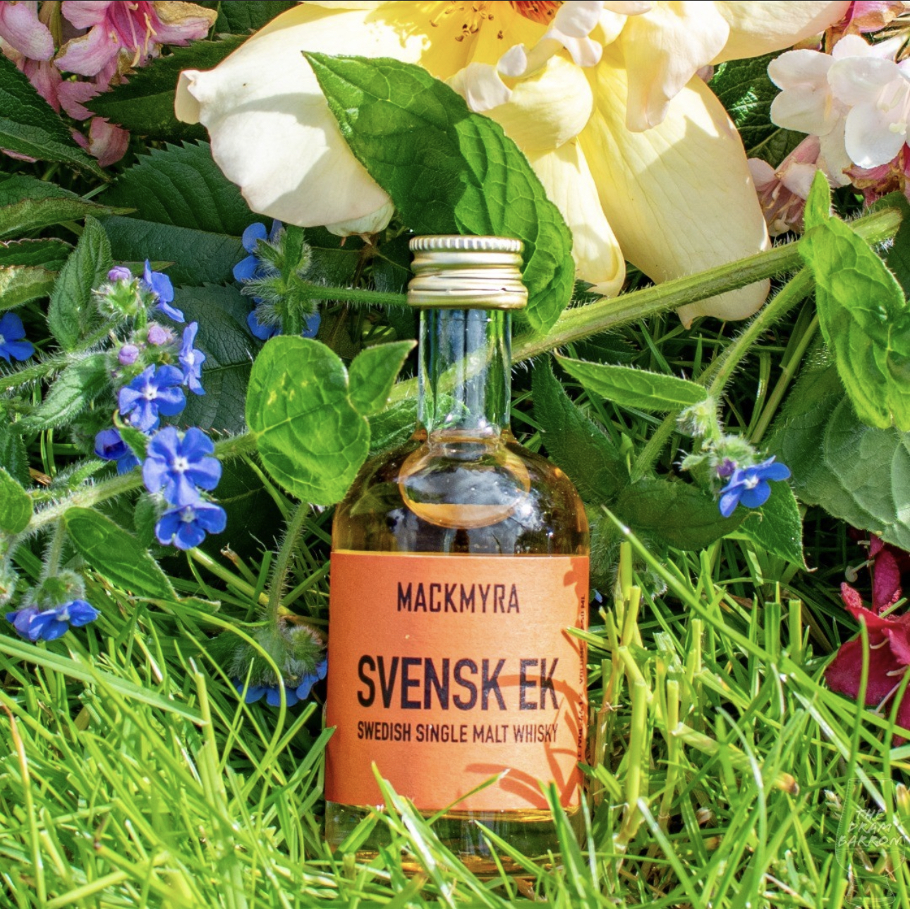 Mackmyra Svensk Ek 46.1%&nbsp;abv