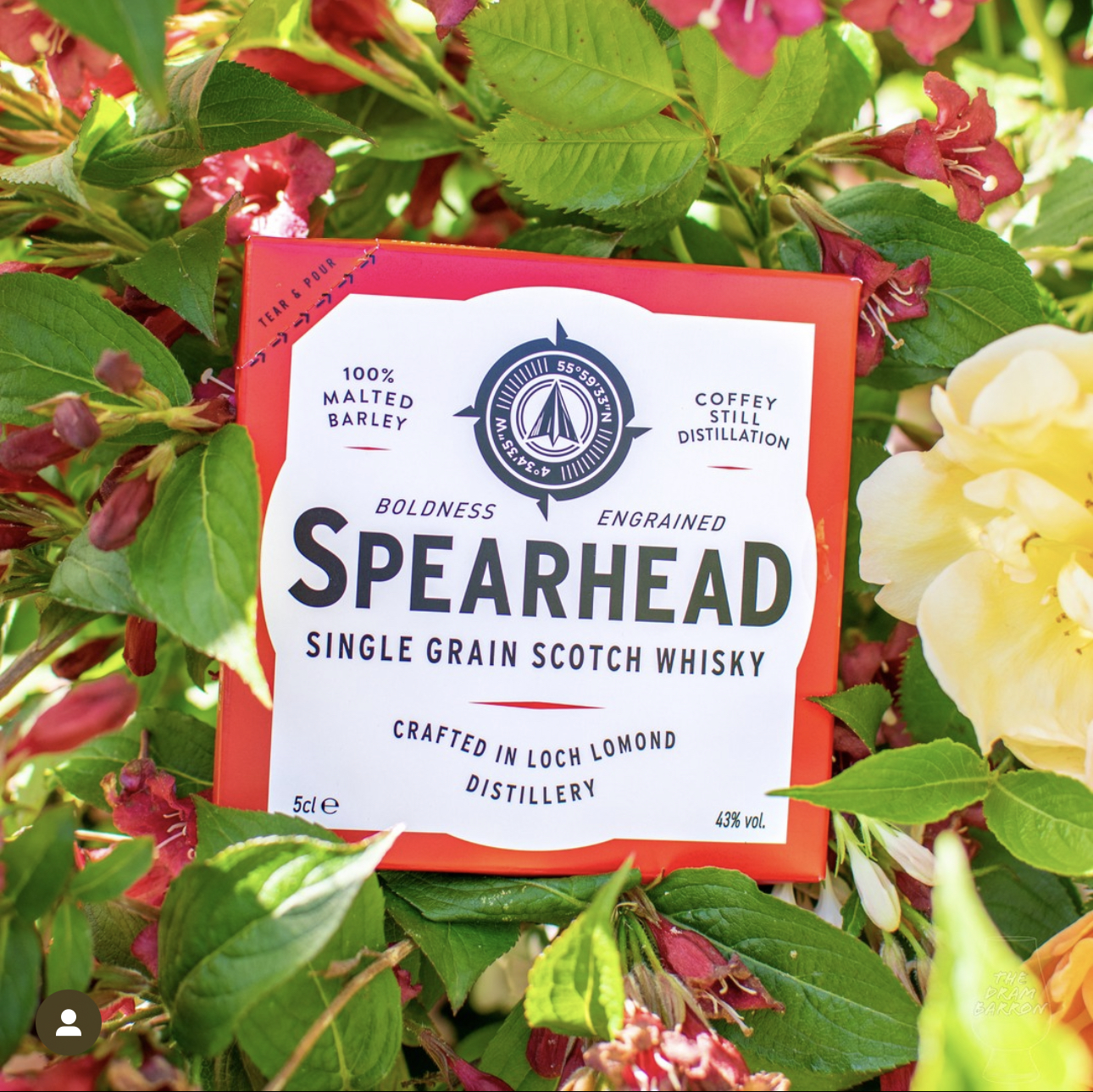 Spearhead Single Grain 43%&nbsp;abv