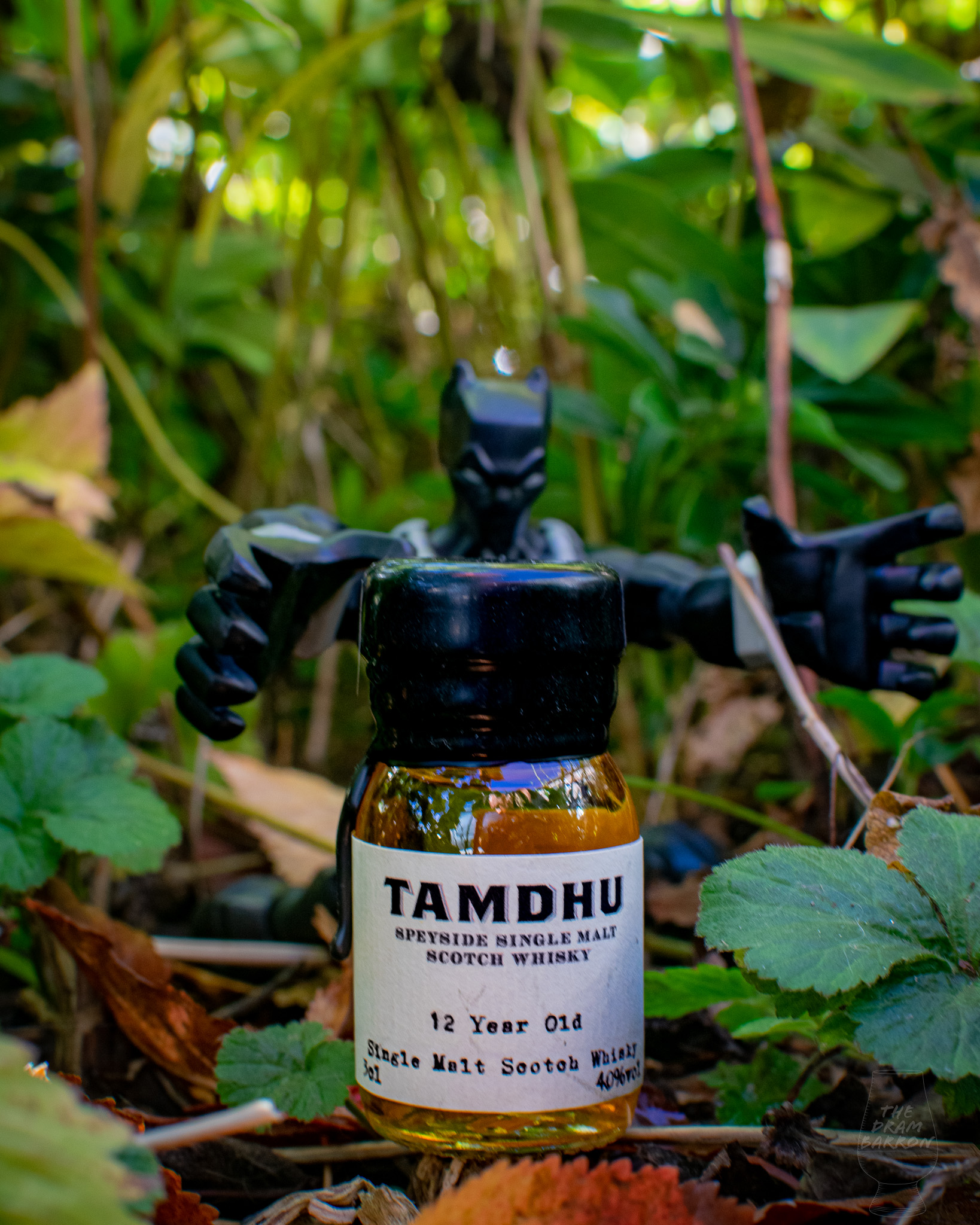 Tamdhu 12 Year Old Whisky 40%&nbsp;abv