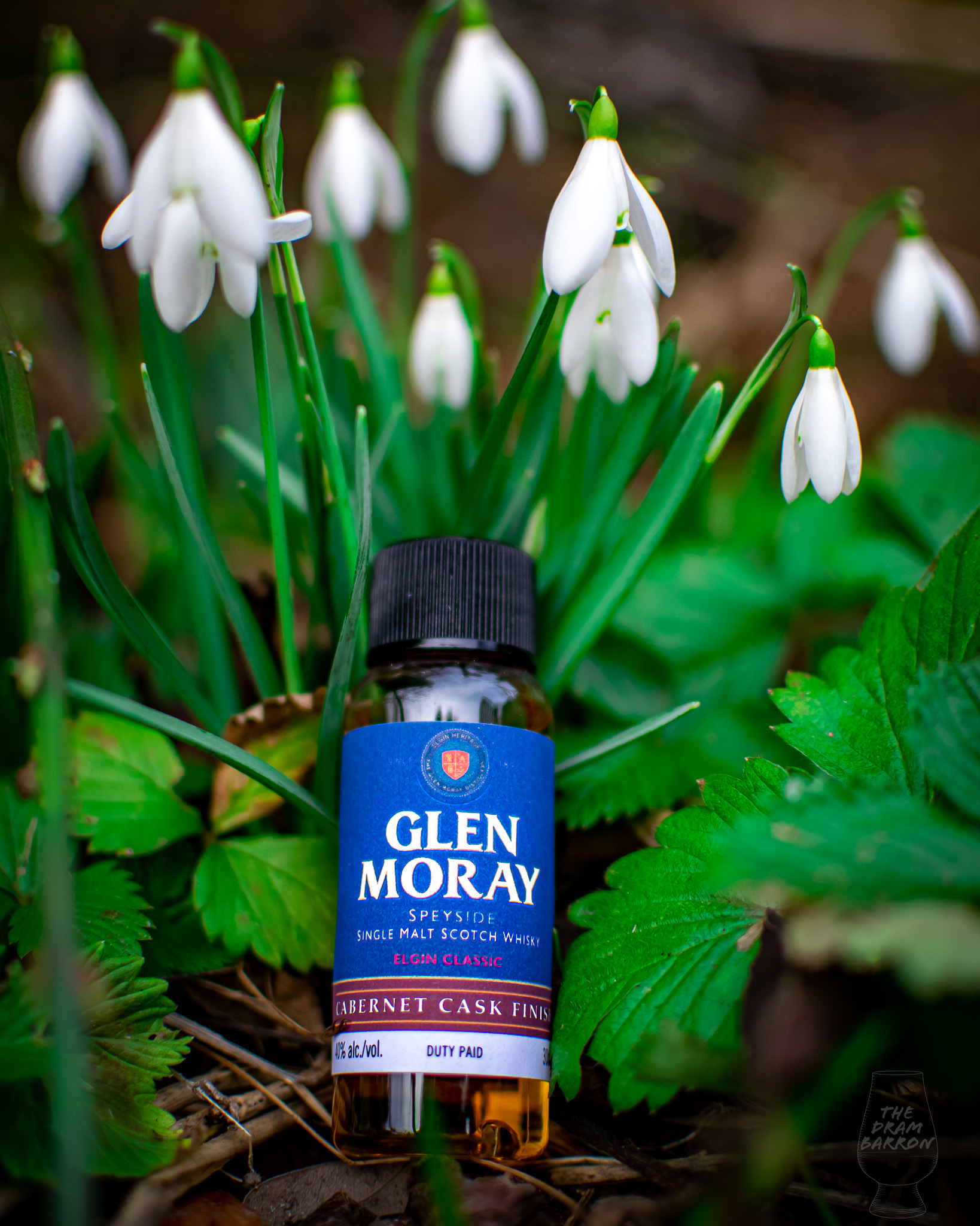 Glen Moray Cabernet Cask Finish Whisky 40%&nbsp;abv