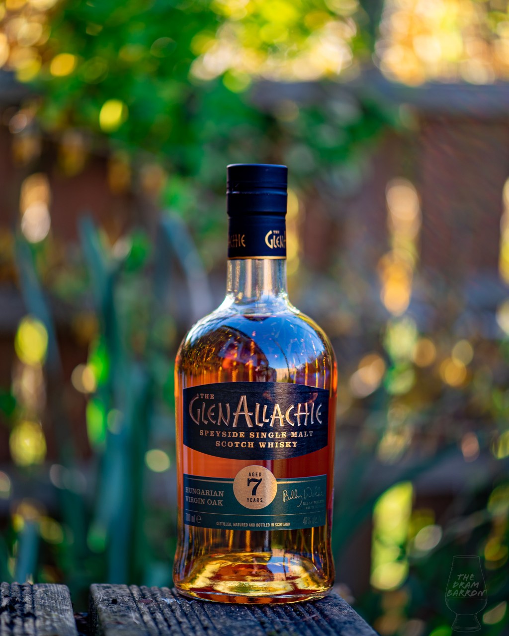 GlenAllachie 7 Year Old Hungarian Virgin Oak Whisky 48%&nbsp;abv