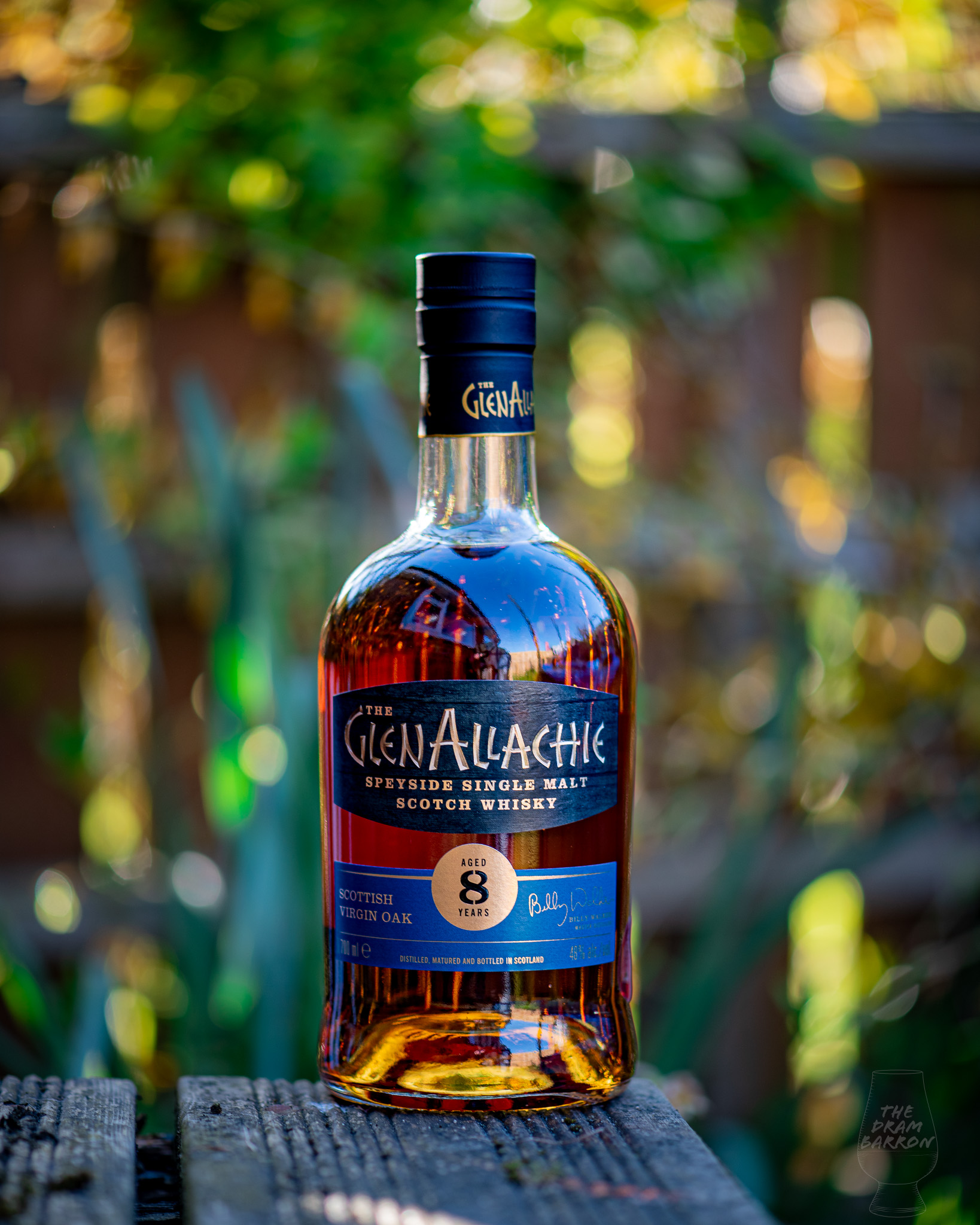 GlenAllachie 8 year old Scottish Virgin Oak Whisky 48%&nbsp;abv