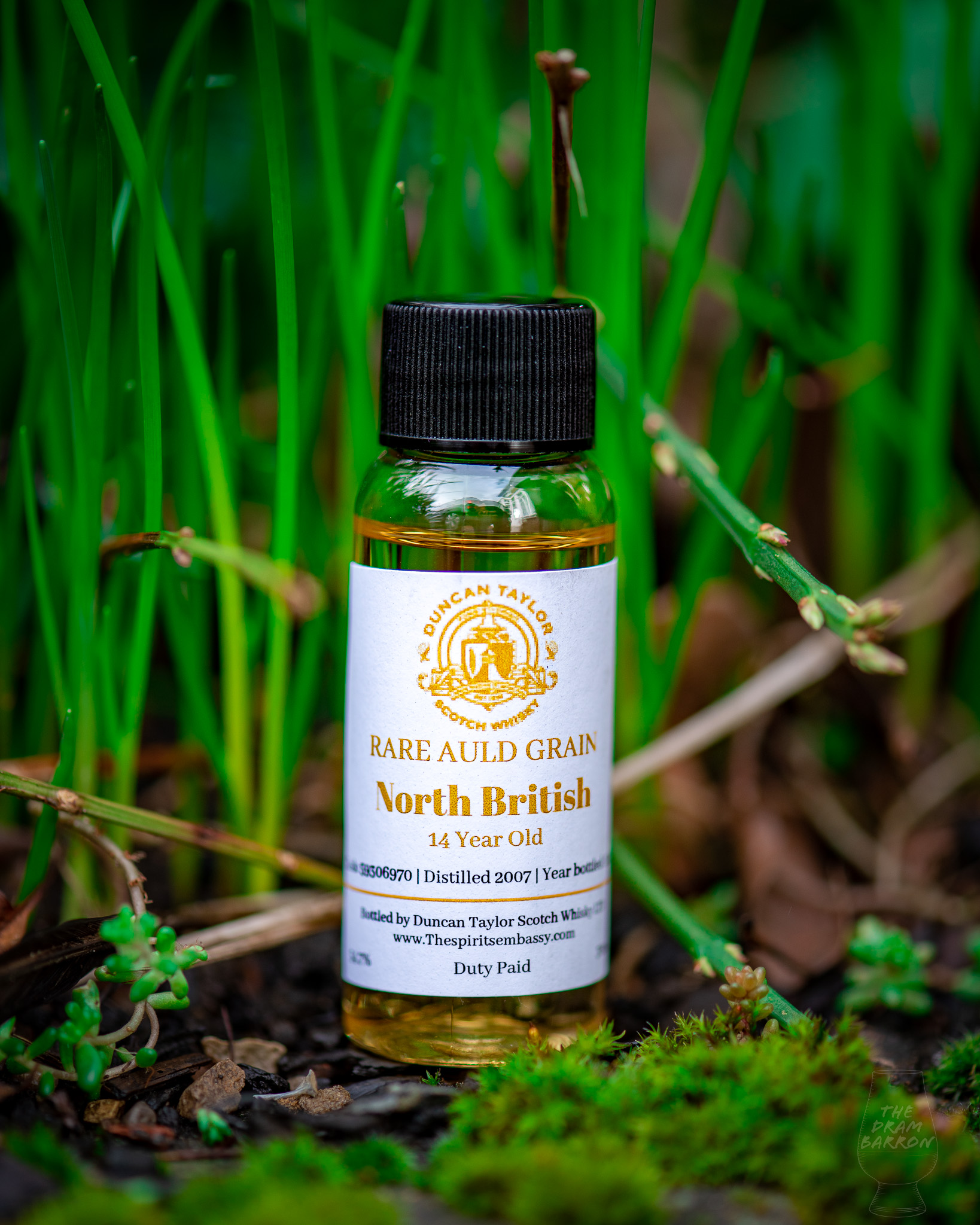 North British 14 Year Old – Rare Auld Grain Duncan Taylor Whisky 54.7%&nbsp;abv