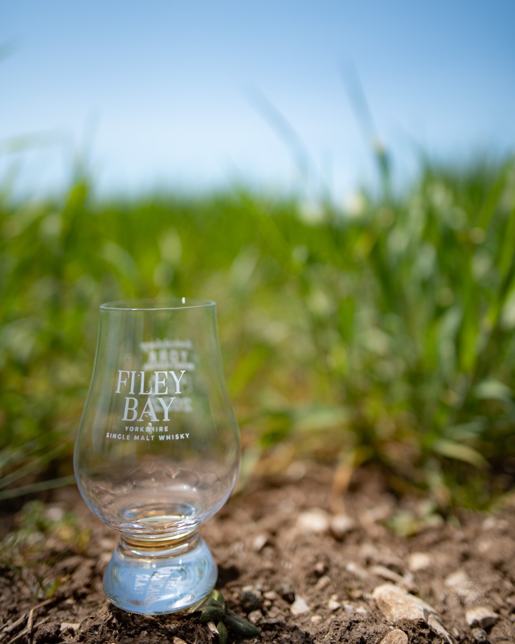 Filey Bay Glencairn in Barley Field
