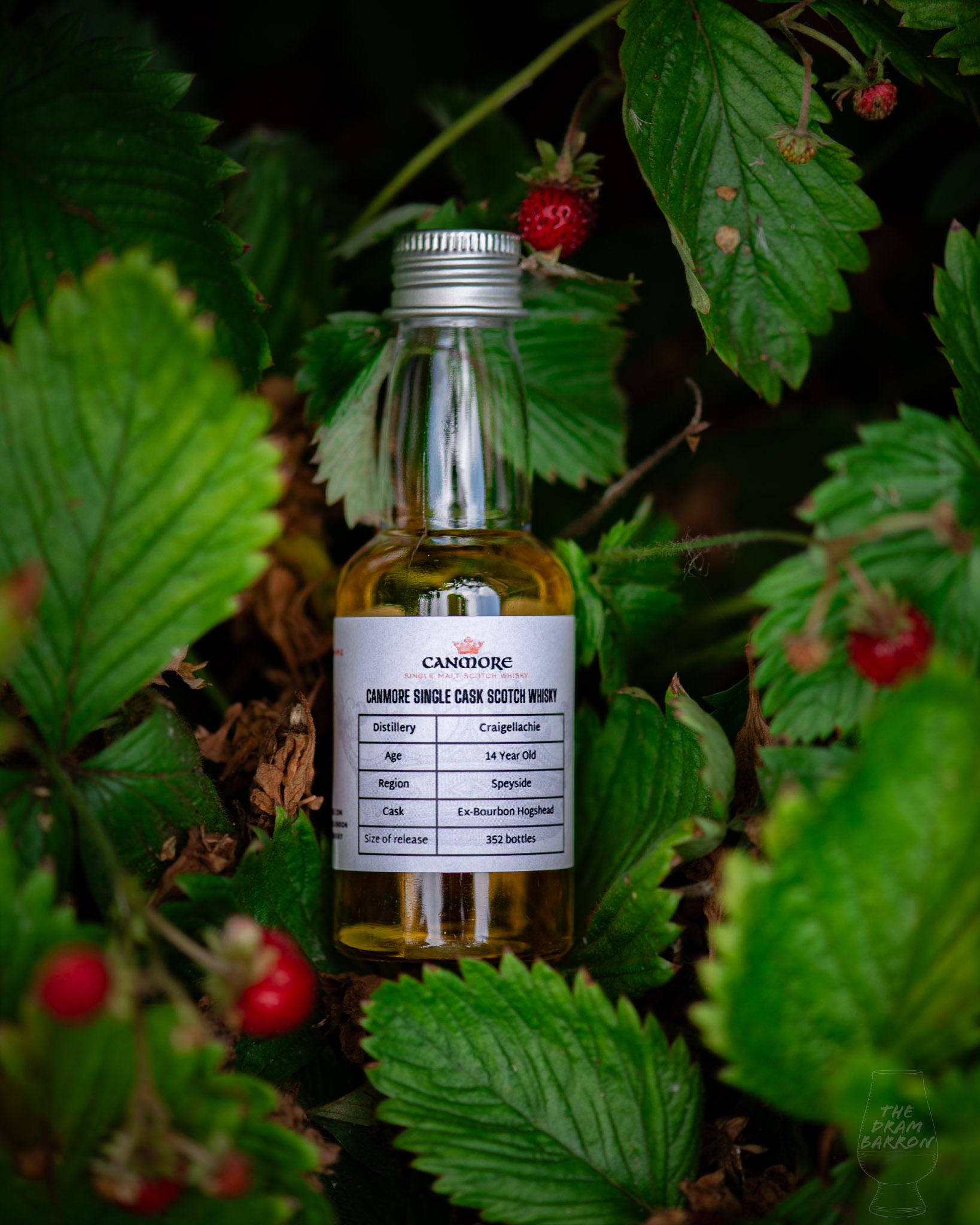 Craigellachie 14 Year Old – Canmore Single Cask Whisky 46%&nbsp;abv