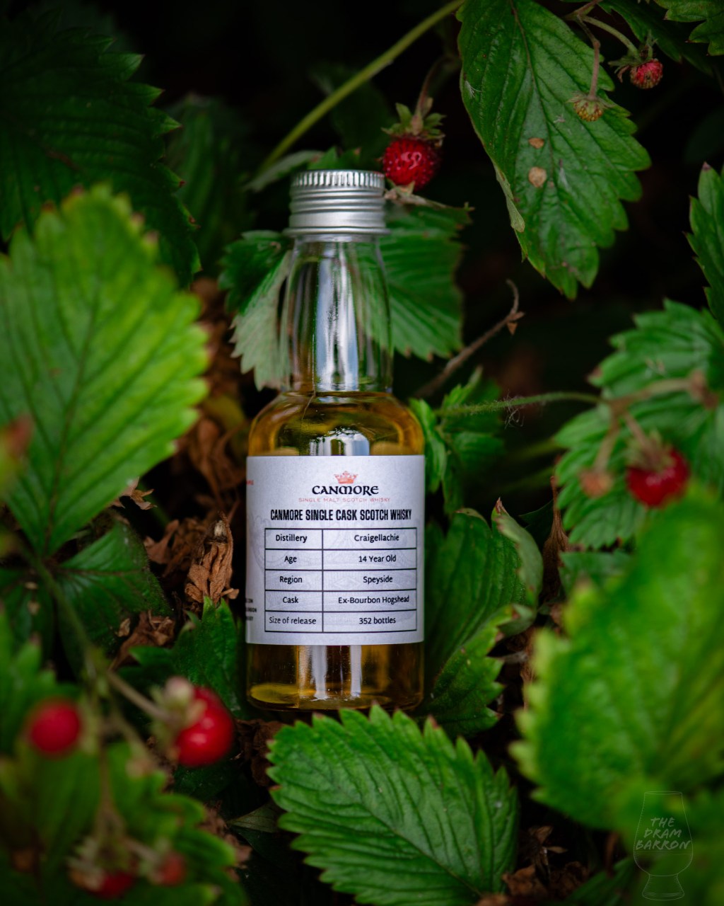 Picture of Craigellachie 14 Year Old - Canmore Single Cask Whisky amongst strawberries
