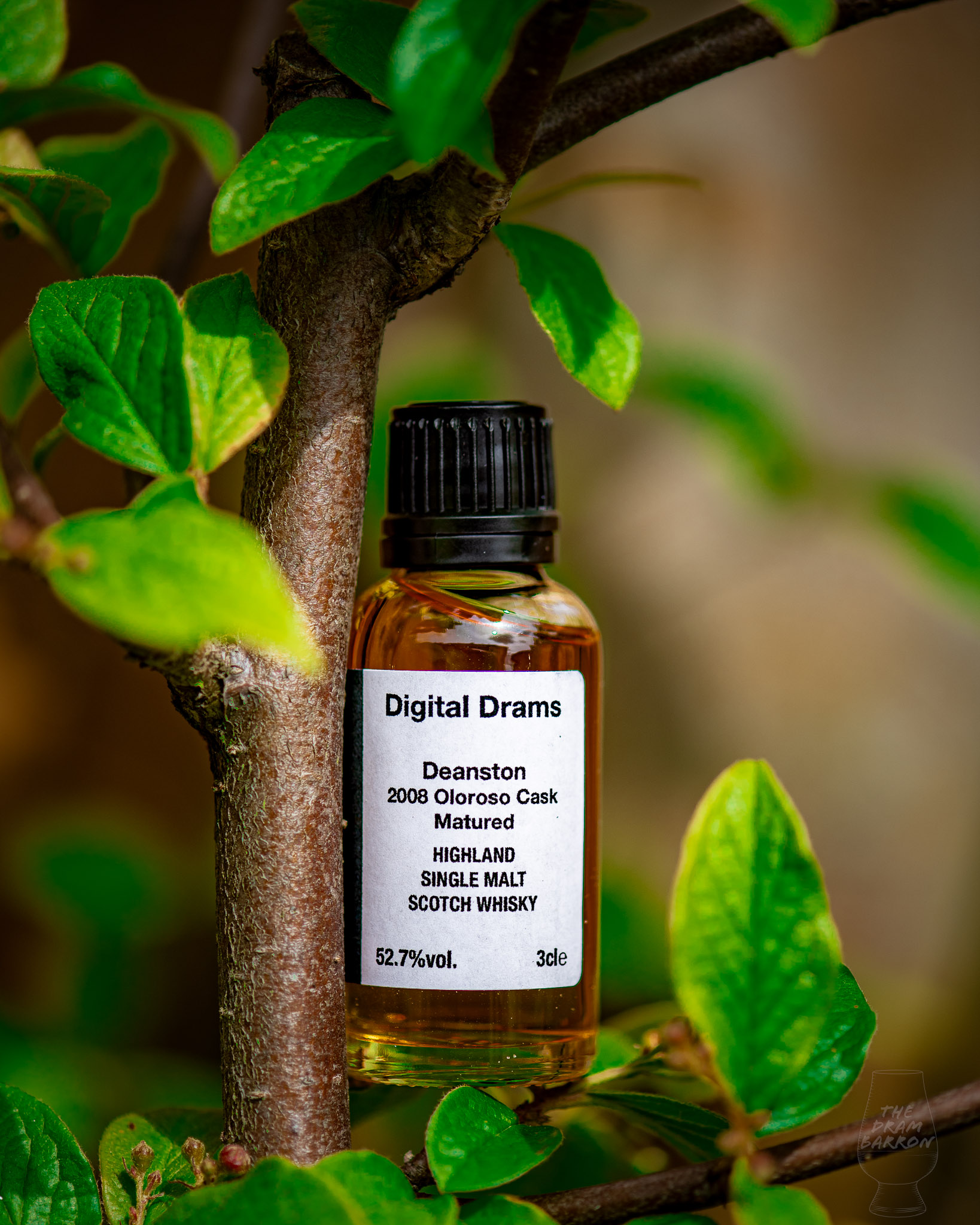 Deanston 2008 Oloroso Cask Matured Whisky 52.7%&nbsp;abv