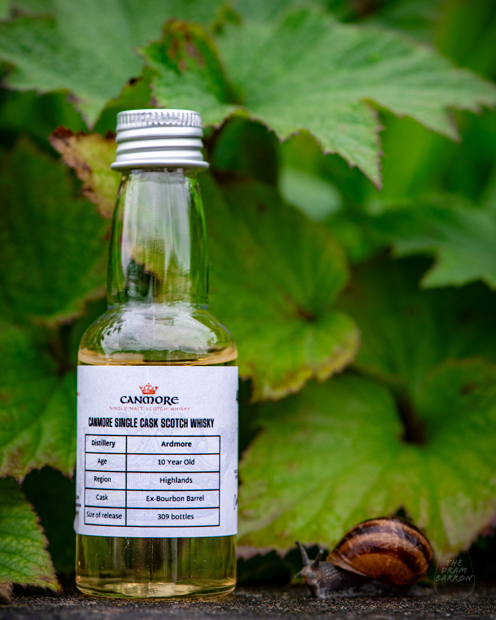 Ardmore 10 Year Old – Canmore Single Cask Whisky 46%&nbsp;abv