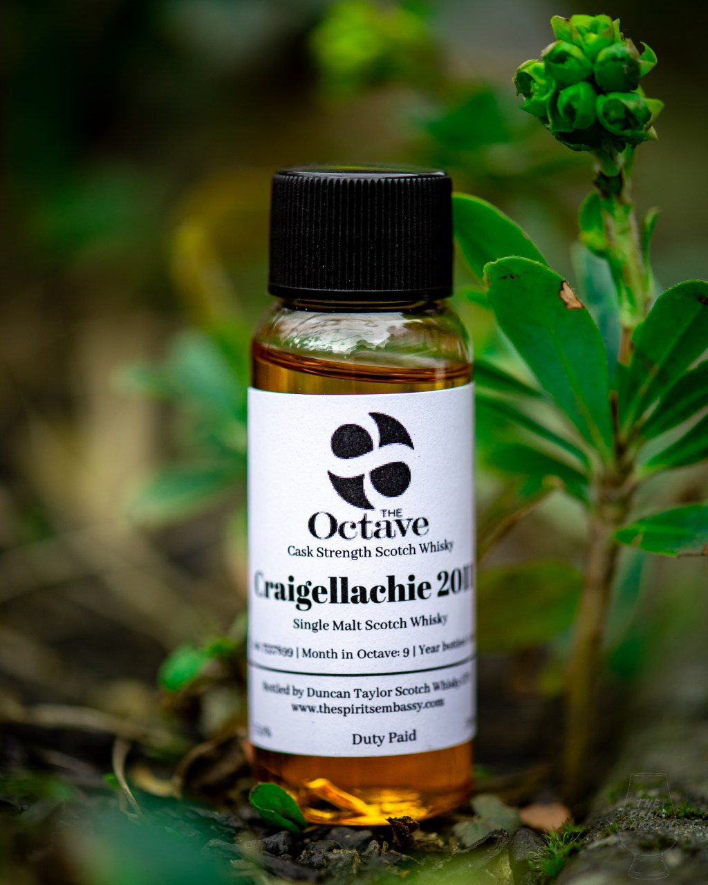 Picture of Craigellachie 13 Year Old - Duncan Taylor The Octave Whisky