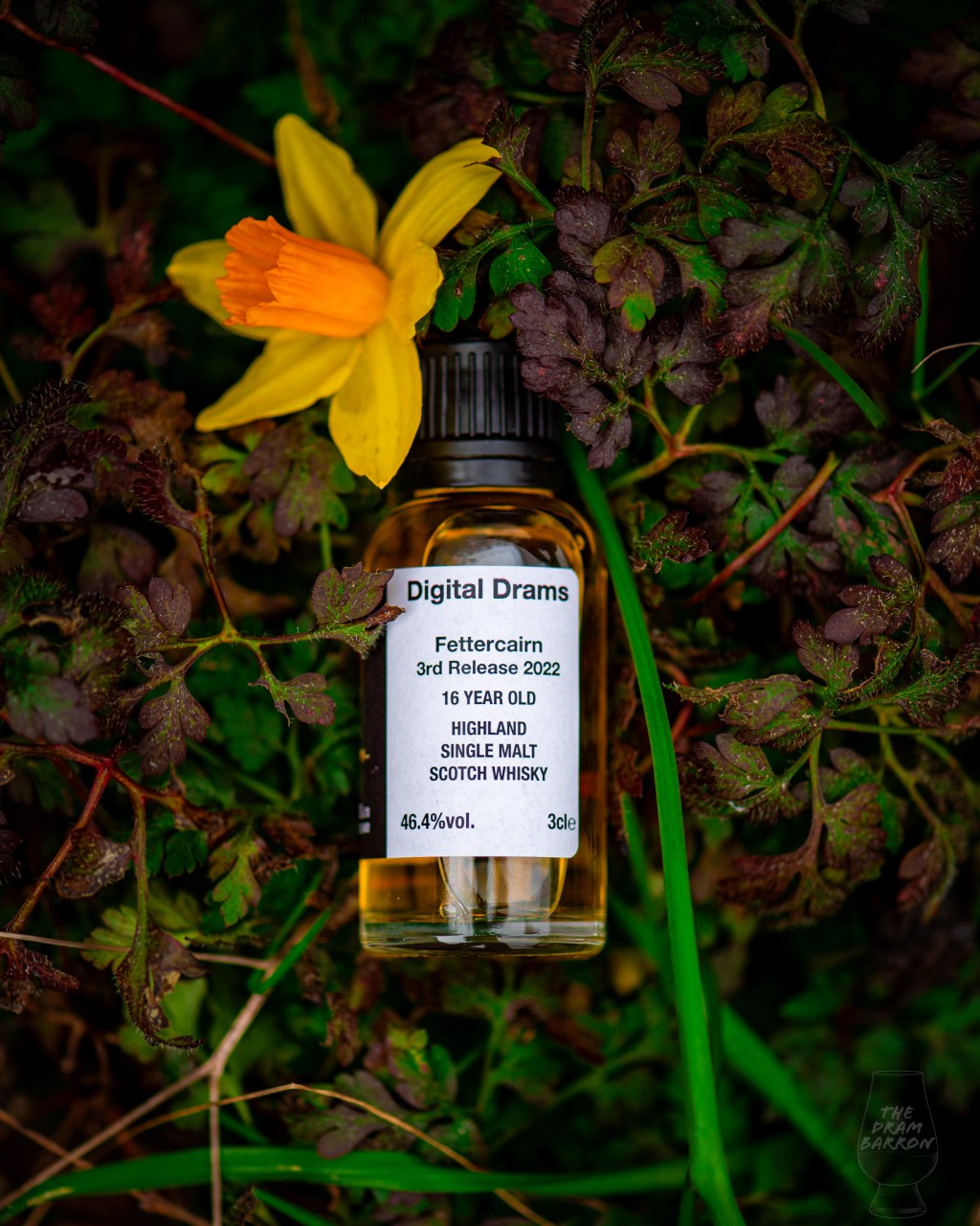 Fettercairn 16 Year Old 3rd Release Whisky 46.4%&nbsp;abv