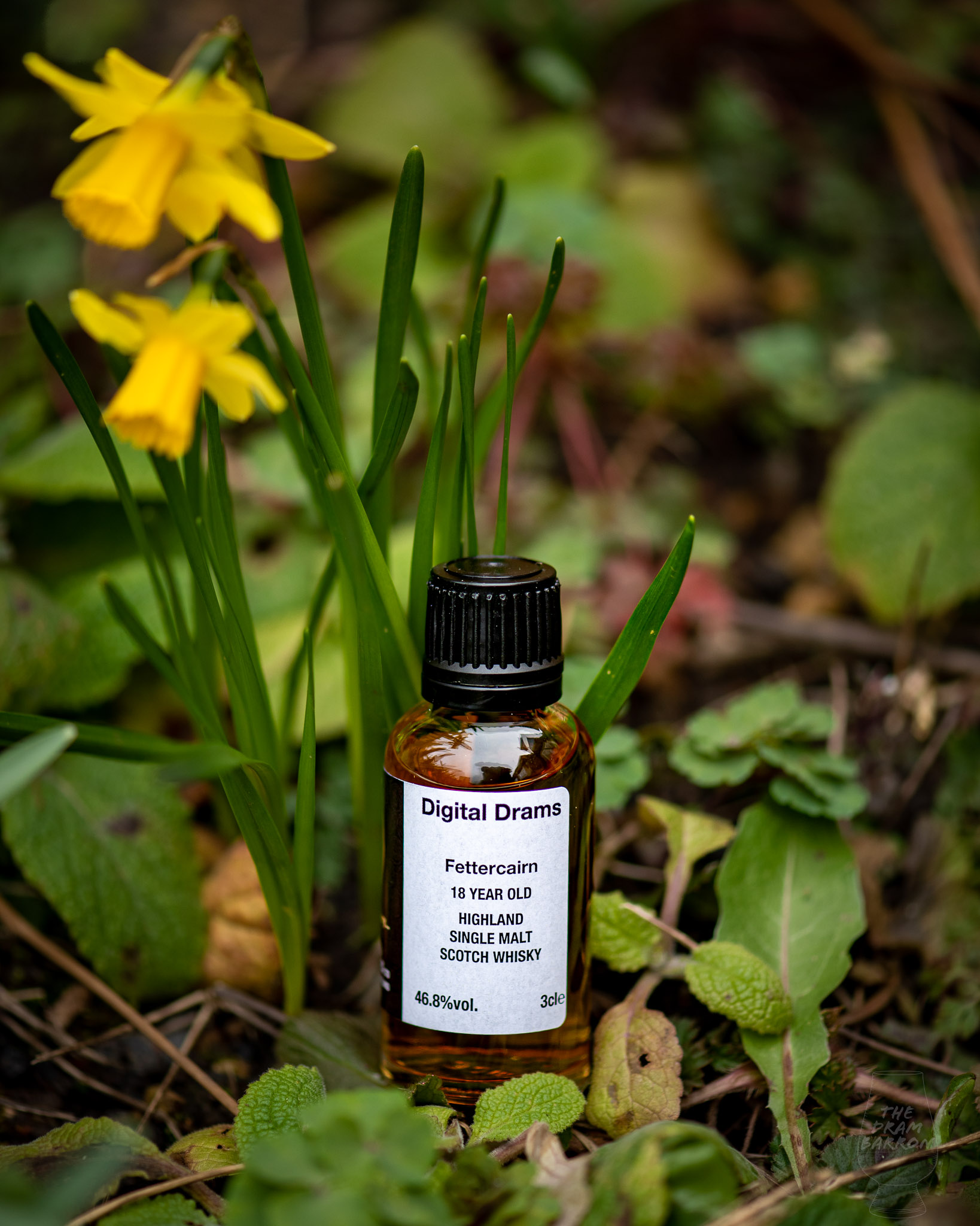 Fettercairn 18 Year Old 1st Release Whisky 46.8%&nbsp;abv