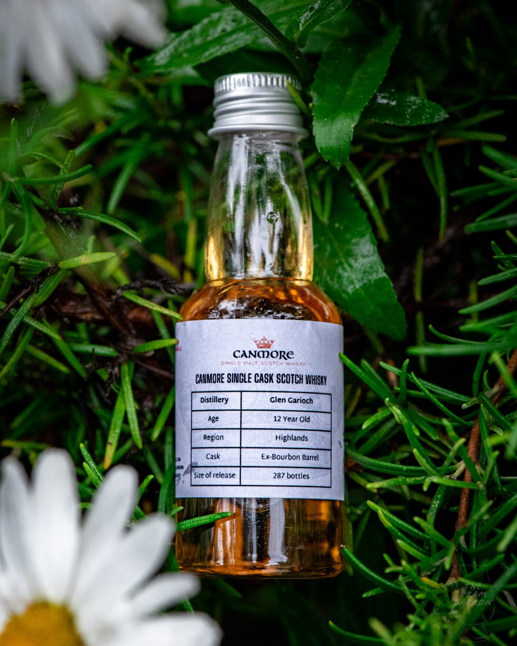 Picture of Glen Garioch 12 Year Old - Canmore Single Cask Whisky in Rosemary