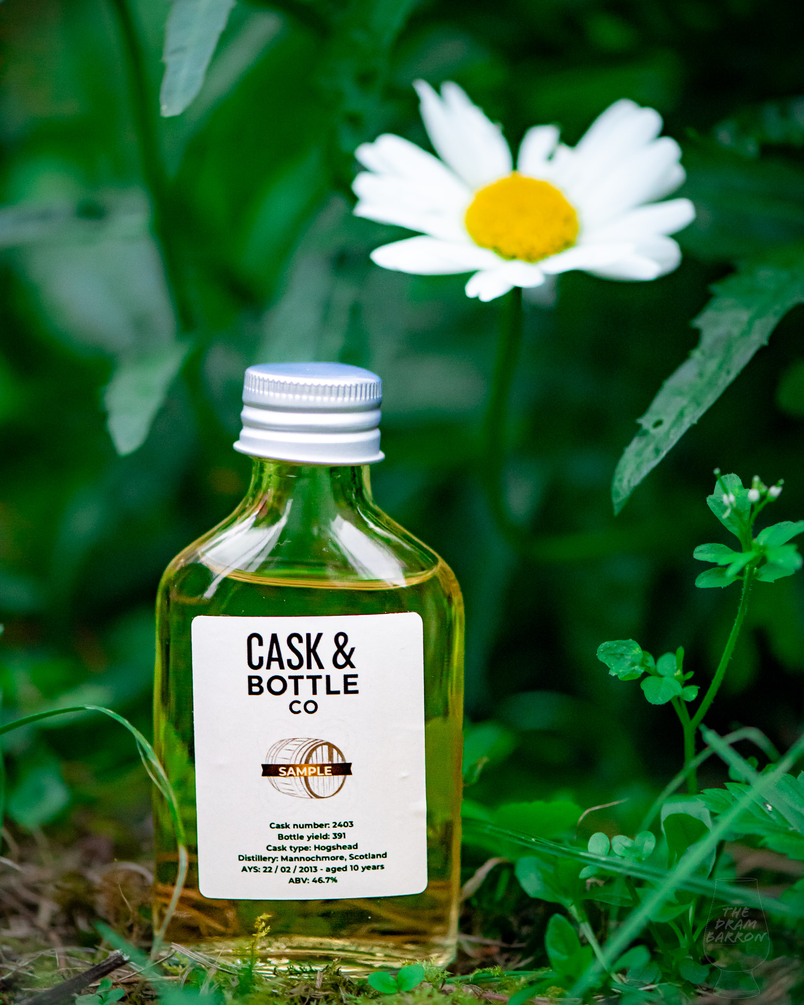 Mannochmore 10 Year Old – Cask & Bottle Co. Whisky 46.7%&nbsp;abv