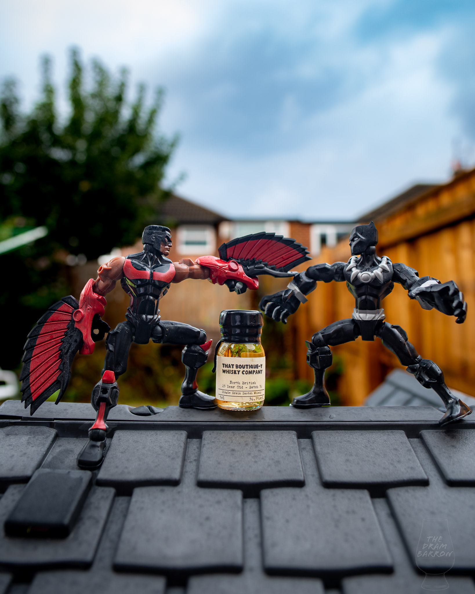 North British 25 Year Old Batch 10 – That Boutique-y Whisky Company 56.5%&nbsp;abv