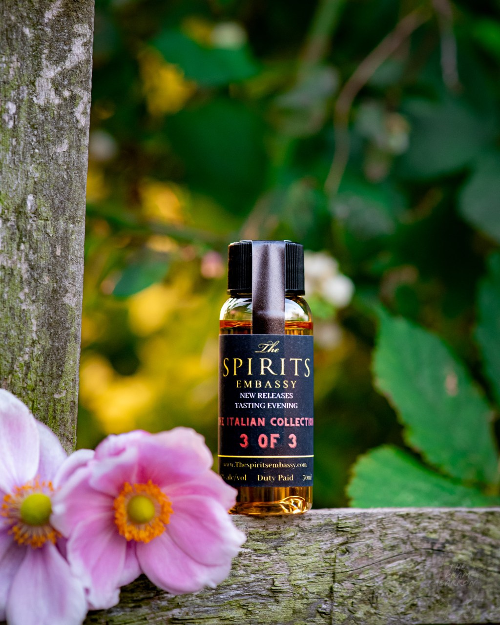 Tomatin 12 Year Old 2010 Italian Collection –  Barolo Cask Whisky 46%&nbsp;abv