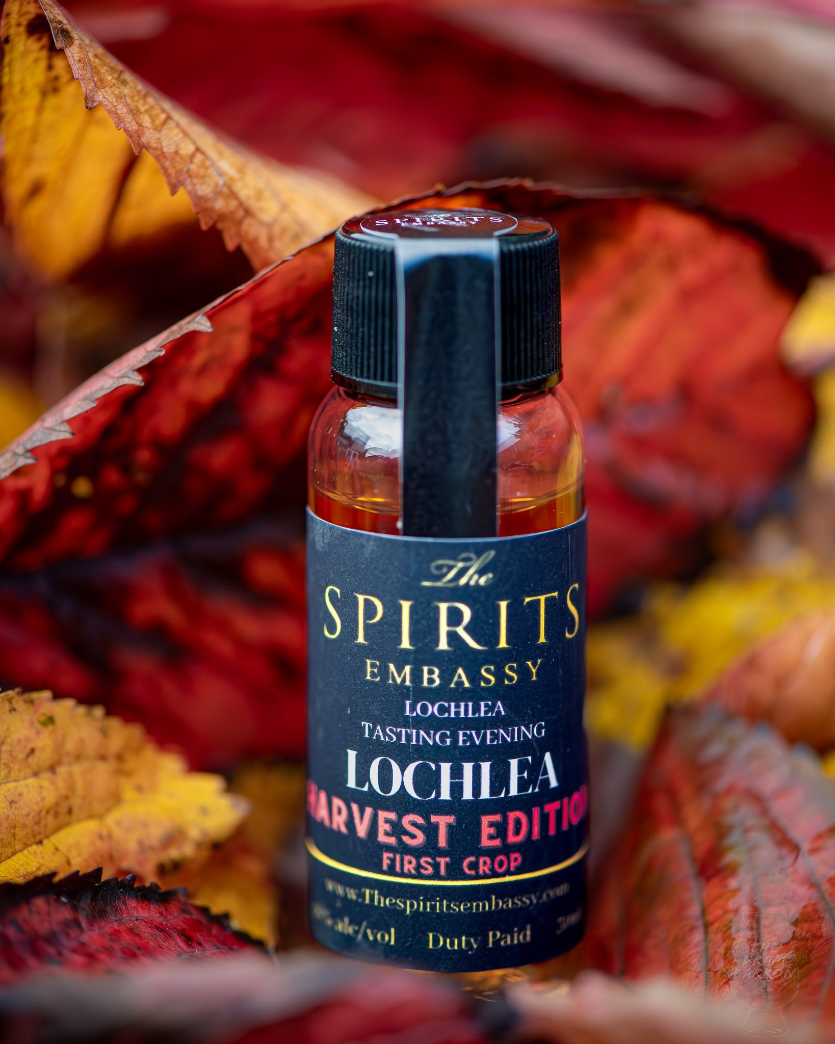 Lochlea Harvest Edition First Crop Whisky 46%&nbsp;abv