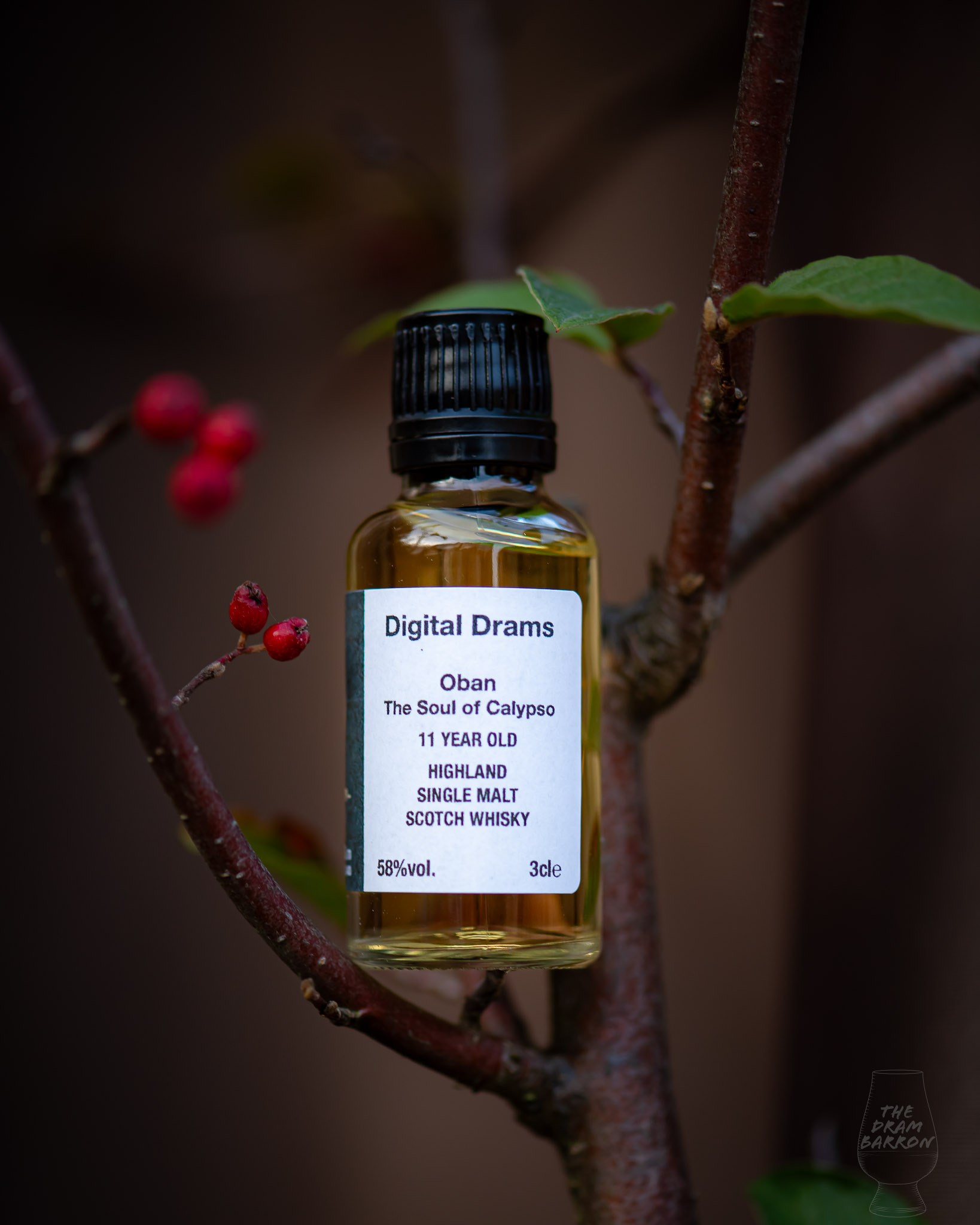 Oban 11 Year Old – The Soul of Calypso (Special Release 2023) Whisky 57%&nbsp;abv