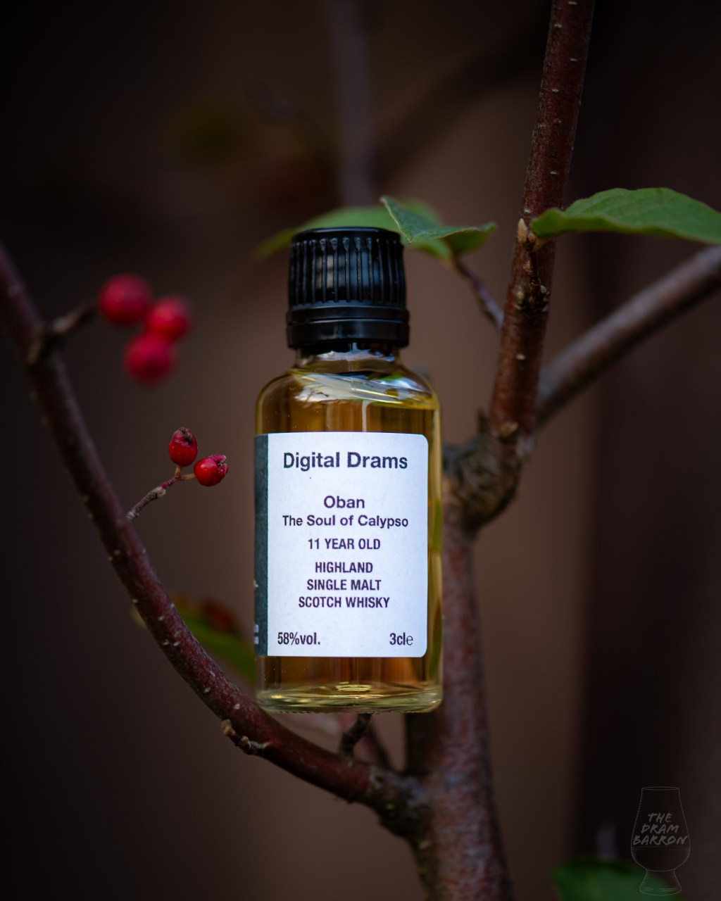 Oban 11 Year Old – The Soul of Calypso (Special Release 2023) Whisky 57%&nbsp;abv