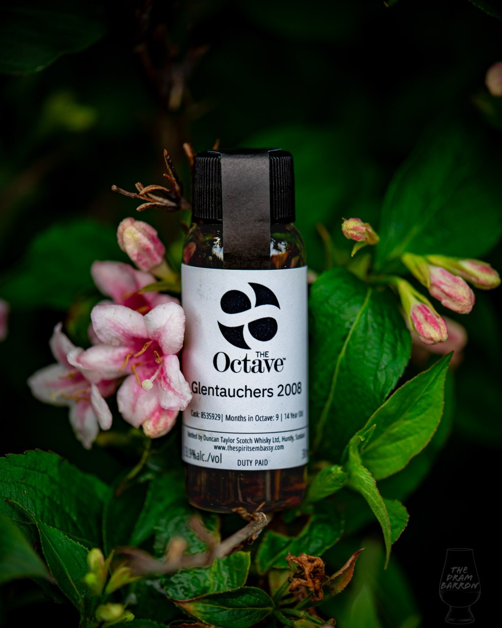 Glentauchers 2008 14 Year Old – Duncan Taylor The Octave Whisky 53.9%&nbsp;abv