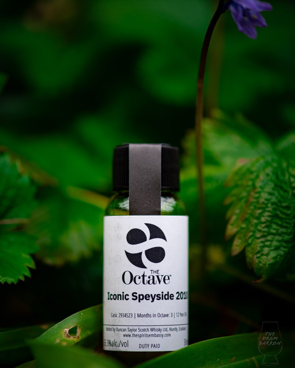 Iconic Speyside 12 Year Old 2010 The Octave – Duncan Taylor Whisky 53.3%&nbsp;abv