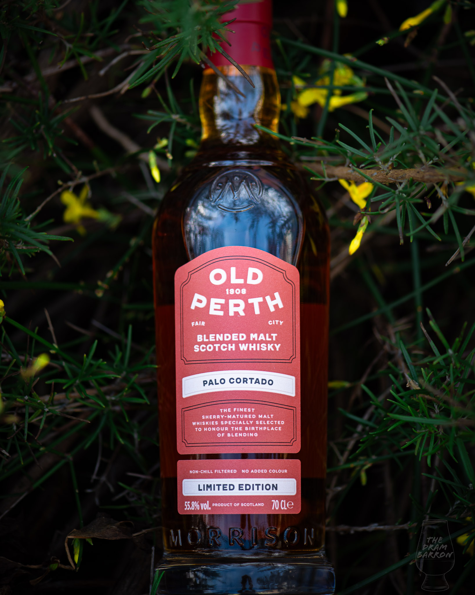 Old Perth Palo Cortado Whisky&nbsp;Review