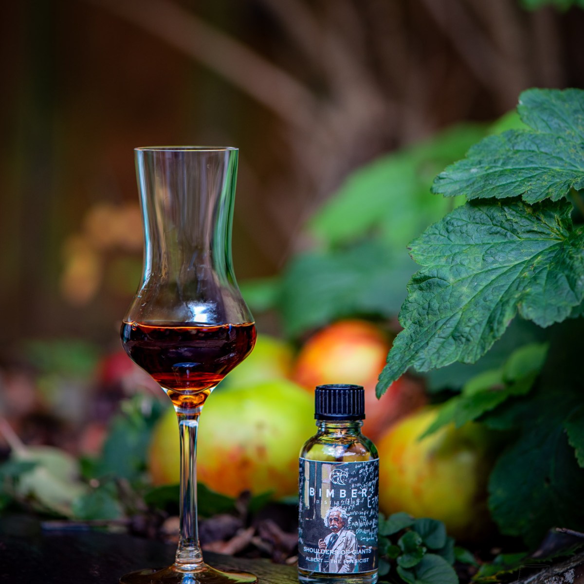 Shoulders of Giants – Bimber: Albert – The Physicist Whisky 58.3%&nbsp;abv
